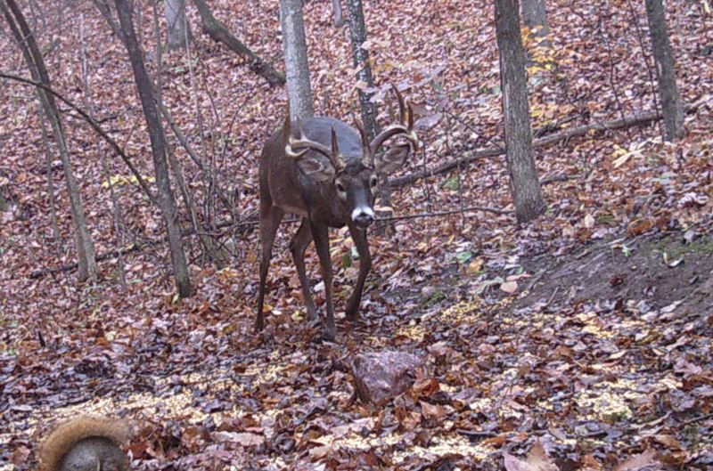 Buck Whisperer Deer Outfitters Hunt The Best Kept Secret In The Midwest